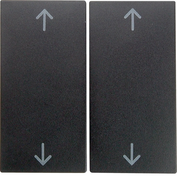 Berker 16441606 Wippe 2fach mit Aufdruck Symbol Pfeile S.1/B.3/B.7 anthrazit. matt