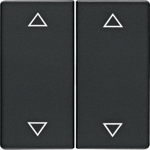 Berker 16446086 Wippe 2fach mit Aufdruck Symbol Pfeile Q.x anthrazit. samt