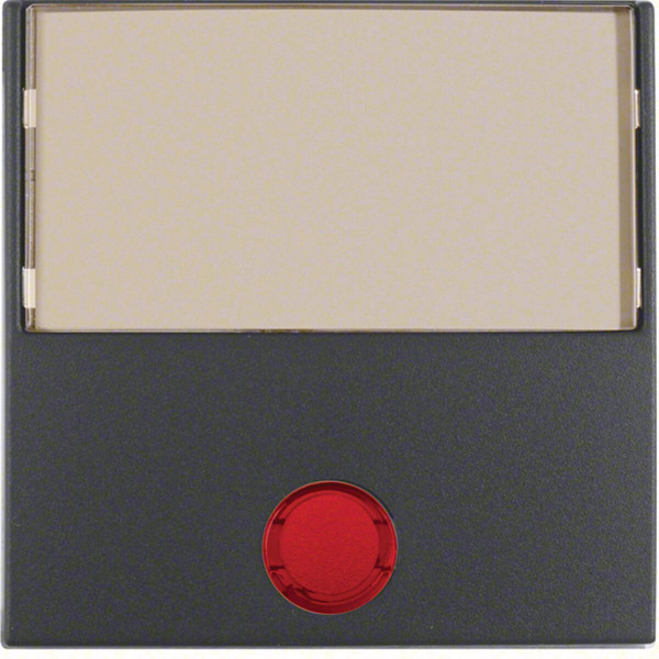 Berker 16961606 Wippe mit großem Beschriftungsfeld u. 5 beil. Linsen S.1/B.3/B.7 anthrazit. matt