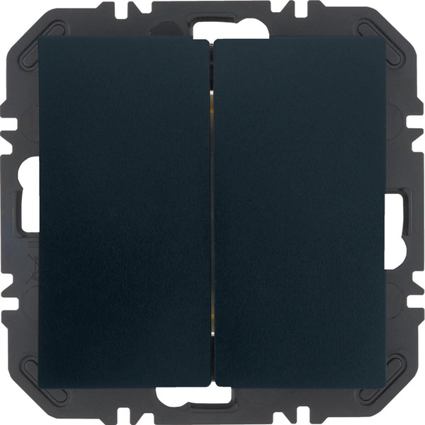 Berker 24121636 Friends of Hue Tasten mit Wippe 2fach. B.x. anthrazit samt