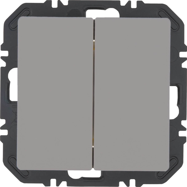 Berker 24126034 Friends of Hue Tasten mit Wippe 2fach. Q.x. alu samt