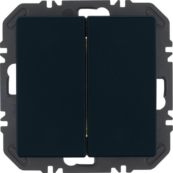 Berker 24126036 Friends of Hue Tasten mit Wippe 2fach. Q.x. anthrazit samt