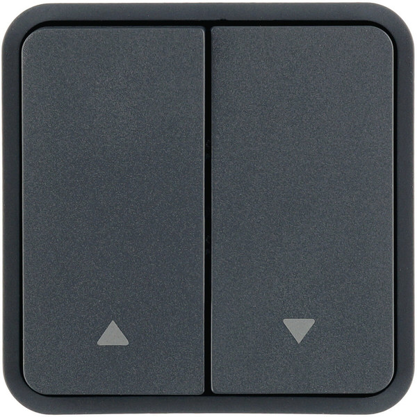 Berker 30653565 Wippe 2fach für Taster-BA.Bedruckung 2 Pfeile rechts/links.grau