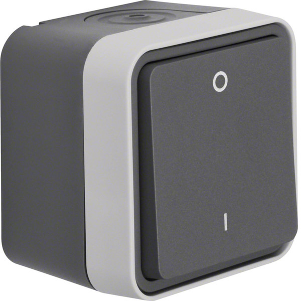 Berker 30723505 Ausschalter 2-polig mit Aufdruck 0und AP W.1 grau LT