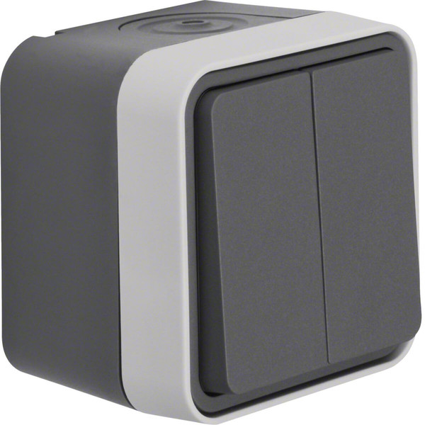 Berker 30753505 Serienschalter AP W.1 grau LT