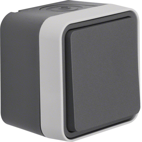 Berker 30763505 Wechselschalter AP W.1 grau LT