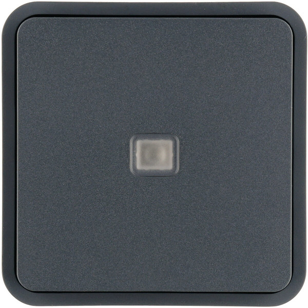 Berker 30863545 Wippe 1fach für W.1 Taster-BA.mit einer Linse.grau