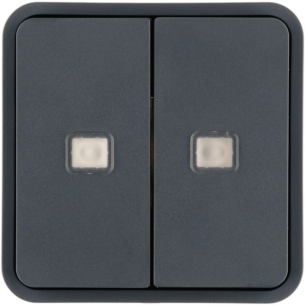 Berker 30863555 Wippe 2fach. für W.1 Taster-BA.mit zwei Linsen.grau