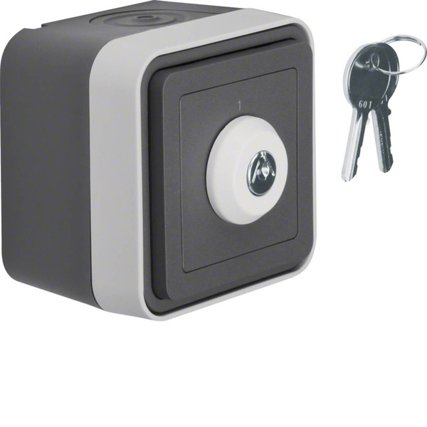 Berker 32713505 Schlüssel-Schalter. Wechsler 2 Positionen. Aufdruck 1 und 2 AP W.1 grau