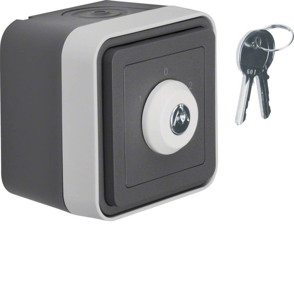 Berker 32723515 Schlüssel-Schalter. 3 Positionen und Aufdruck 0. 1 und 2 AP W.1 grau