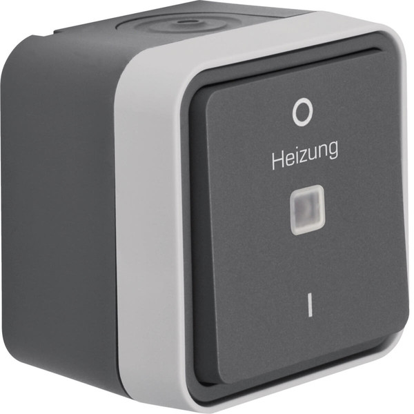 Berker 35623505 Kontroll-Ausschalter 2polig. Aufdruck eizung. 0 und 1 AP W.1 grau LT