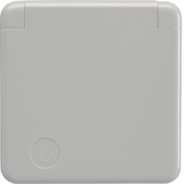 Berker 4211 Steckdose Schuko mit Abdeckplatte und Klappdeckel wg Up IP44 grau. glänzend