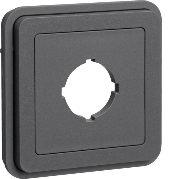 Berker 42913505 Abdeckung mit Stecköffnung Ø22.5 mm W.1 grau