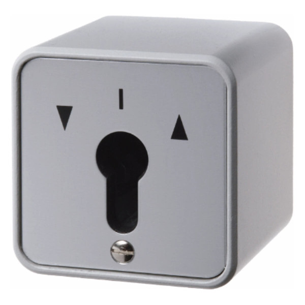 Berker 4462 Jalousie-Schlüsselschalter Ap für Profil-Halbzylinder Druckguss IP44