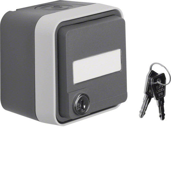 Berker 47393505 Steckdose Schuko mit Klappd. Beschriftungsfeld.ungl. Schließung AP W.1 grau