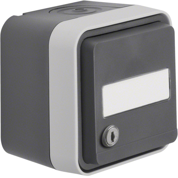 Berker 47893505 Steckdose Schuko mit Klappd.. Beschriftungsfeld. gl. Schließung AP W.1 grau