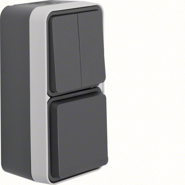 Berker 47903525 Kombination Serienschalter/Steckdose Schuko mit Klappd. AP. W.1. grau matt