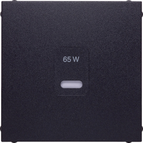 Berker 48601606 Zentralstück für USB B.x. anthrazit matt. lackiert