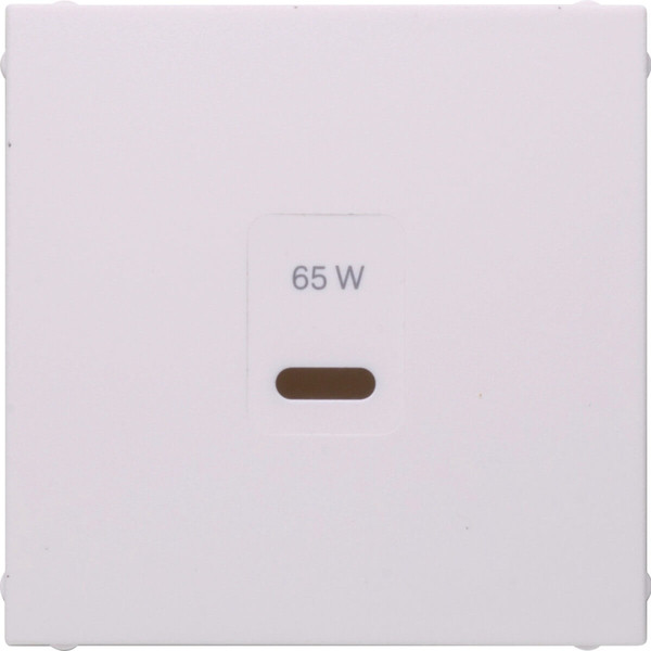 Berker 48601909 Zentralstück für USB S.1. polarweiß matt