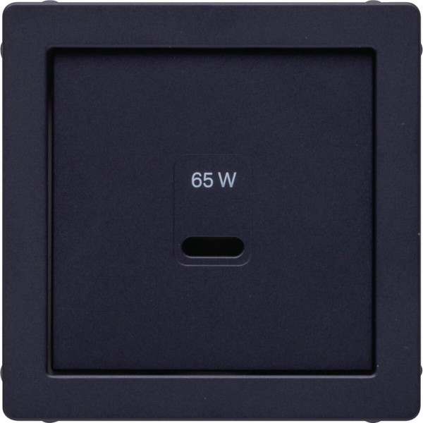 Berker 48606086 Zentralstück für USB Q.x. anthrazit samt. lackiert