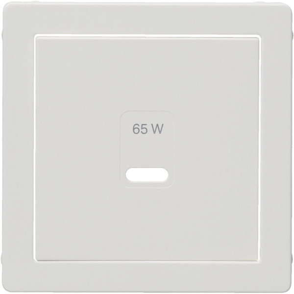 Berker 48606089 Zentralstück für USB Q.x. polarweiß samt