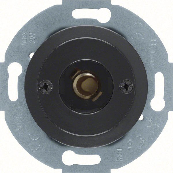 Berker 510401 Drucktaster und Lichtsignal E10 mit Z.-Stk. 1930/Glas/Palazzo schwarz. glänzend