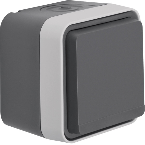 Berker 6768813515 Steckdose mit Schutzkontaktstift. erh. BS und Klappdeckel AP W.1 grau