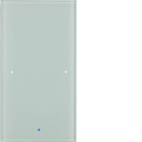 Berker 75141830 Glas-Sensor 1fach Komfort TS Sensor. polarweiß