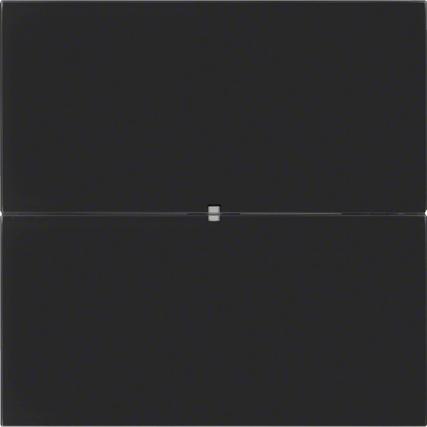 Berker 75162592 Tastsensor 2fach Komfort B.IQ Glas. schwarz