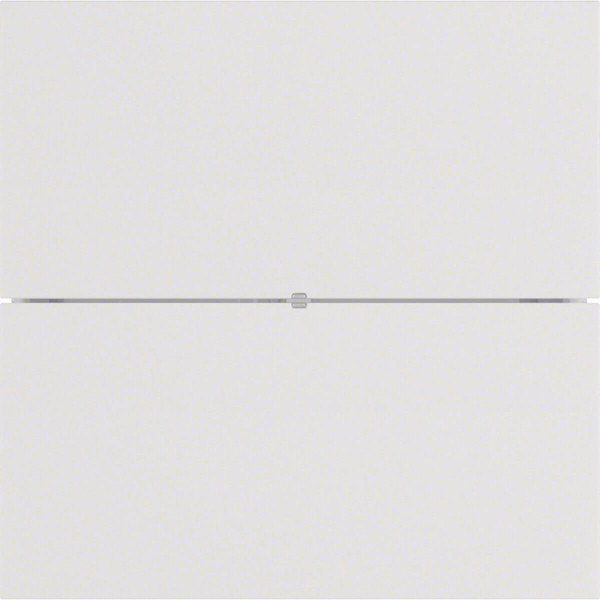Berker 75162599 Tastsensor 2fach Komfort B.IQ polarweiß. matt