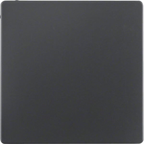 Berker 75940226 Blindverschluss Q.x anthrazit. samt