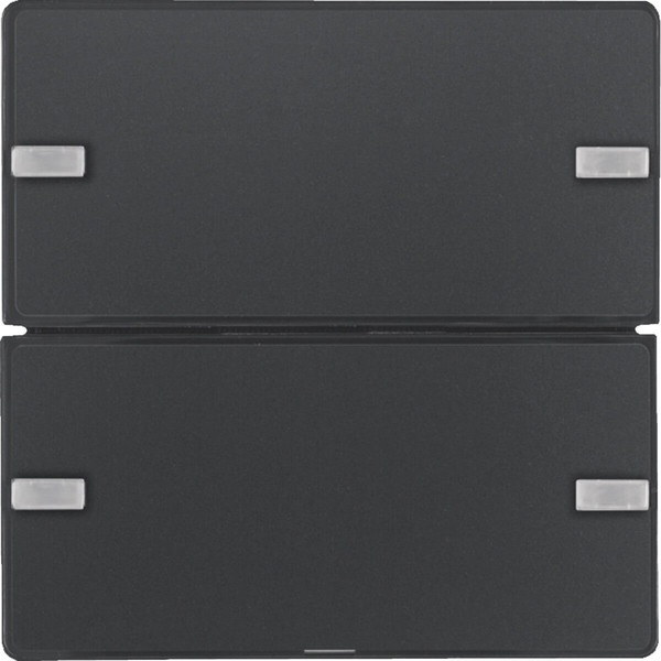 Berker 80142326 Tastsensor 2fach Komfort mit Beschriftungsfeld KNX Q.x anthrazit samt