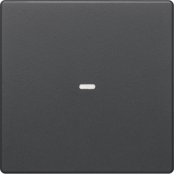 Berker 80960226 Abdeckung für Tastsensor-Modul 1fach mit Linse Q.x anthrazit. samt