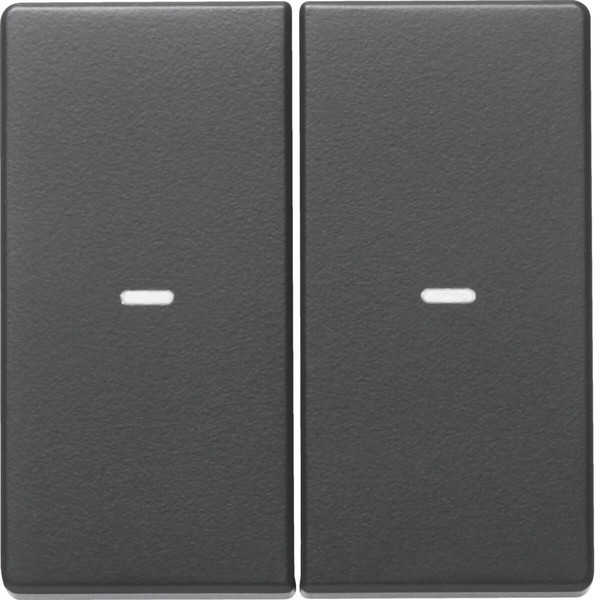Berker 80960326 Abdeckung für Tastsensor-Modul 2fach mit Linse Q.x anthrazit. samt