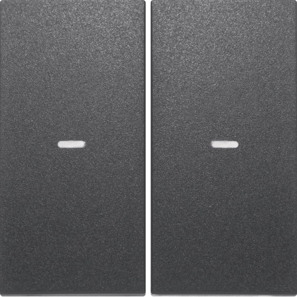 Berker 80960385 Abdeckung für Tastsensor-Modul 2fach mit Linse S.1/B.x anthrazit. matt
