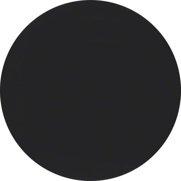 Berker 85141131 Taste 1fach R.1/R.3 schwarz. glänzend
