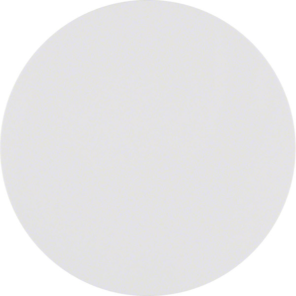 Berker 85141139 Taste 1fach R.1/R.3 polarweiß. glänzend