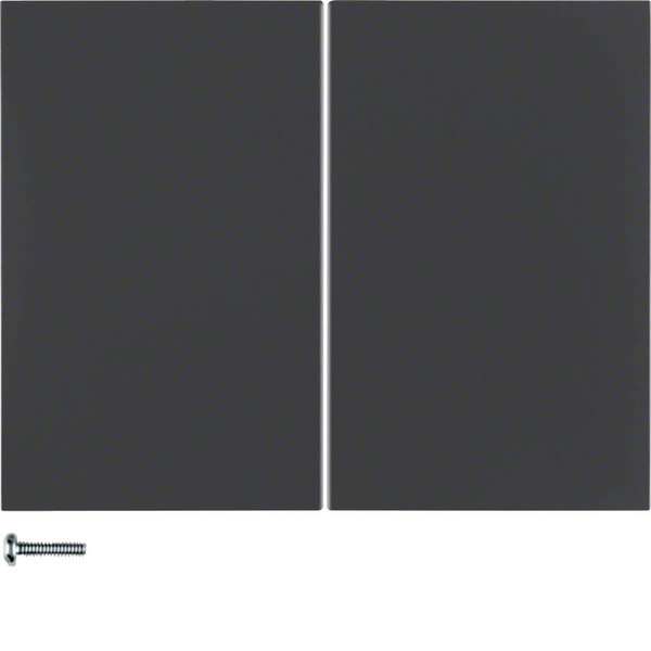 Berker 85142175 Taste 2fach K.1 anthrazit. matt