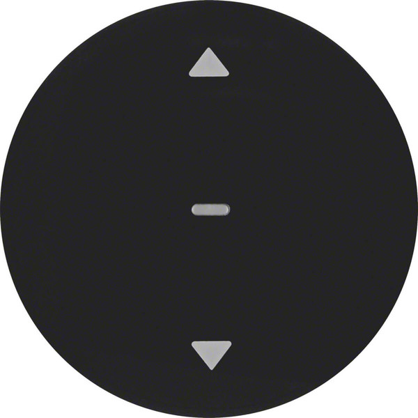 Berker 85241131 Jalousie-Taste R.1/R.3 schwarz. glänzend