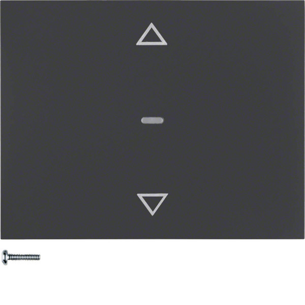 Berker 85241175 Jalousie-Taste K.1 anthrazit. matt