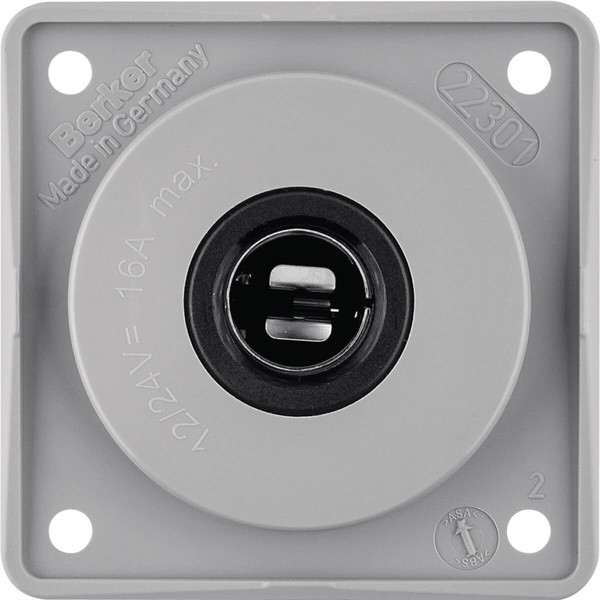 Berker 945172507 Steckdose 12 V. Integro Modul-Einsätze. grau glänzend