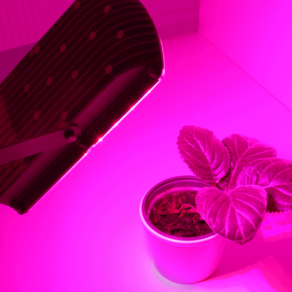 Bioledex GoLeaf LED Pflanzenlampe 25W - Rot-blaue Grow Pflanzenleuchte