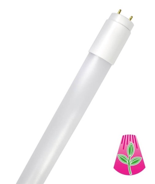 Bioledex GoLeaf LED Röhre Pflanzenlampe Vollspektrum 60cm T8 G13