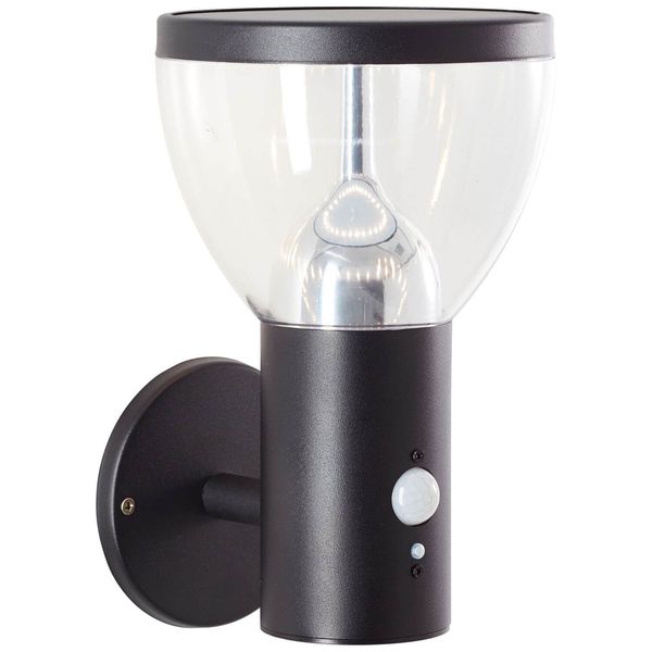 Brilliant Tulip LED Außenwandleuchte 3W Warmweiß IP44 Schwarz Solar, Bewegungsmelder G40410/06