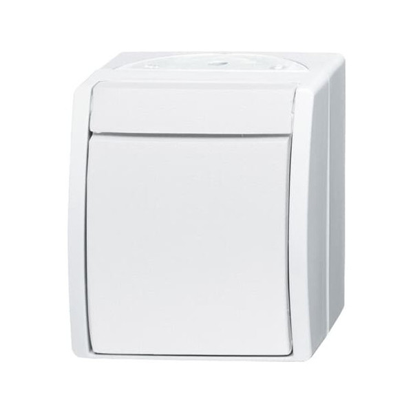 Busch-Jaeger Wippschalter Aus- und Wechselschaltung 2CKA001085A1628 2601/6 W-54