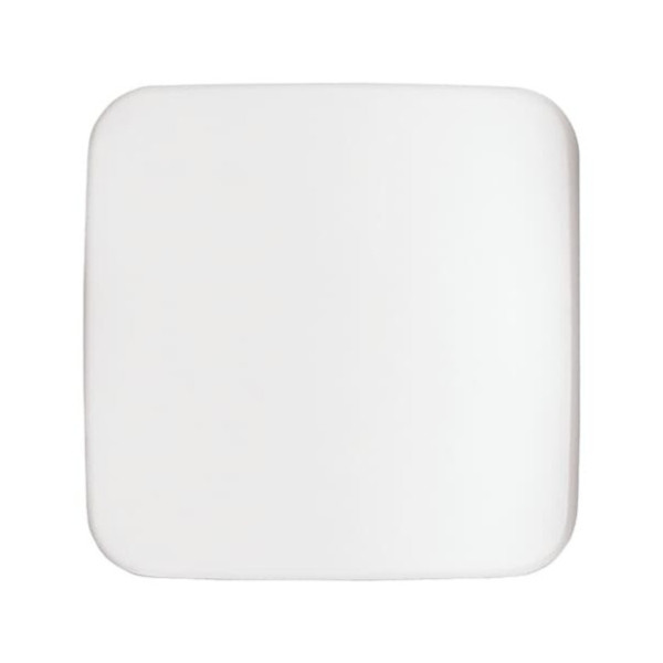 Busch-Jaeger Zentralscheibe Neutral Reflex SI/SI Linear 2CKA001710A2900 1790-580-214