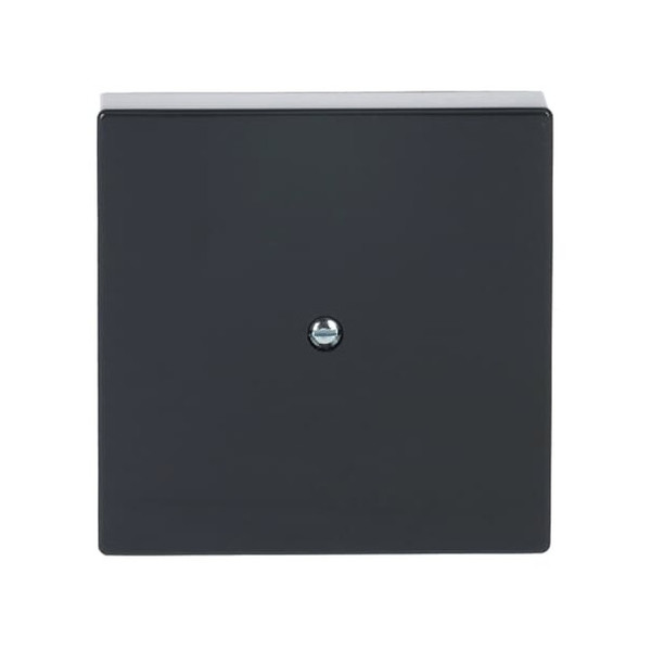 Busch-Jaeger Zentralscheibe 2CKA001710A3624 1745-81