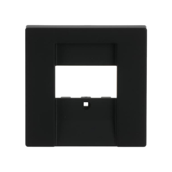 Busch-Jaeger Zentralscheibe 2CKA001710A3903 1766-885