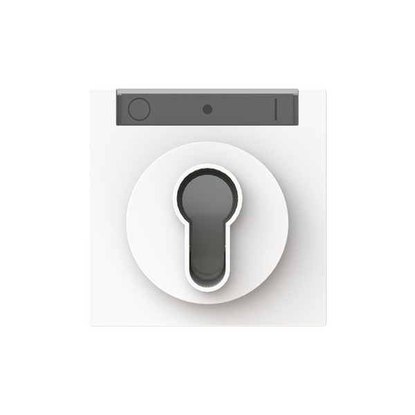 Busch-Jaeger Zentralscheibe mit Beschriftungsfeld für Einsätze mit Schließzylinder 2CKA001710A4158 1755 SL/PZ-44M