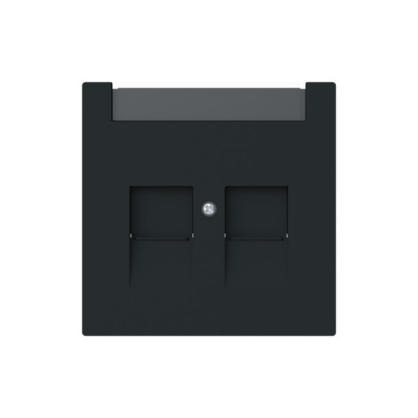 Busch-Jaeger Zentralscheibe 2-fach mit Beschriftungsfeld Modular-Jack mit Öffnungsschieber 2CKA001710A4238 1800-45M